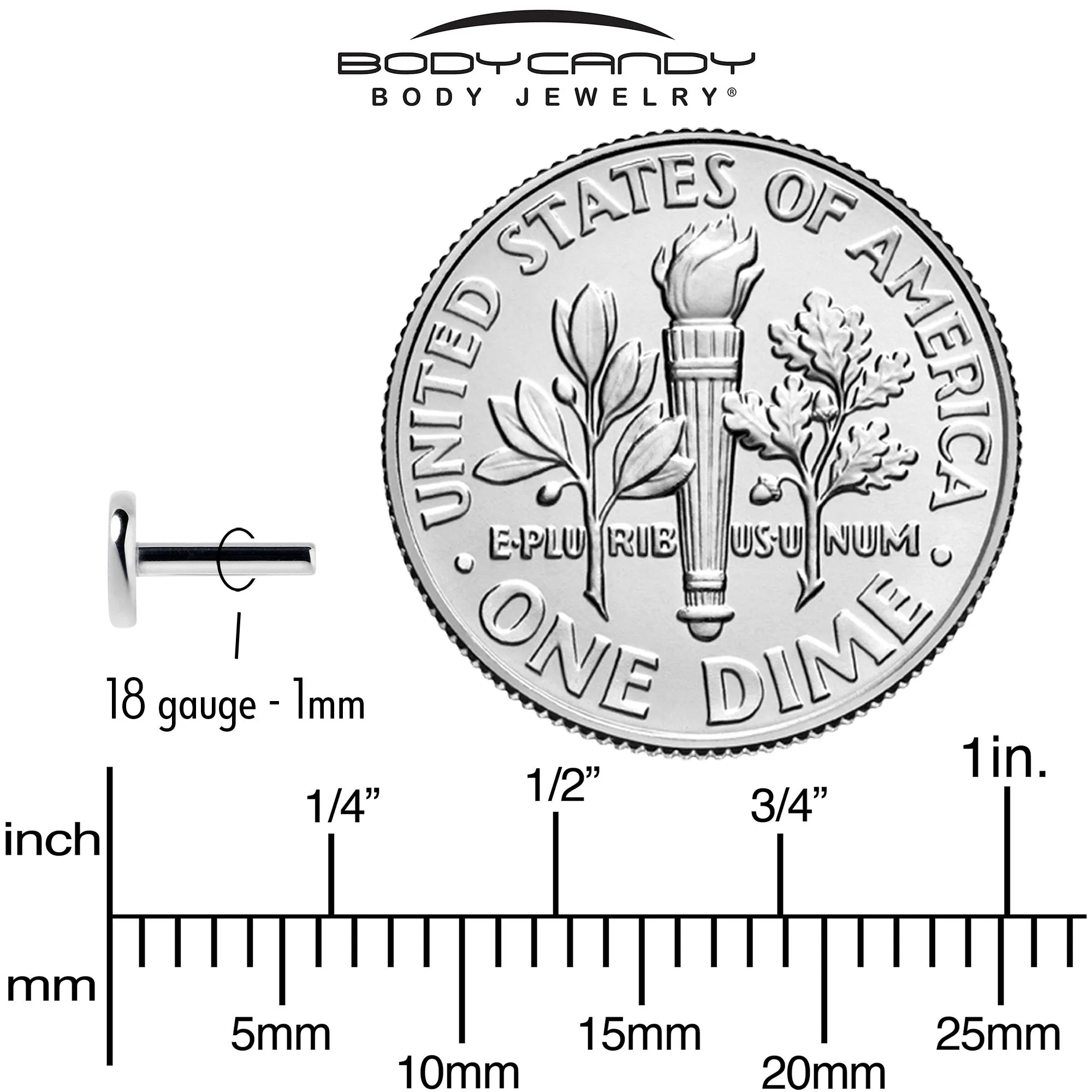 18 Gauge 5mm ASTM F-136 Implant Grade Titanium Threadless Post Only Labret
