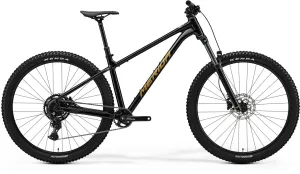 2025 BIG TRAIL 300