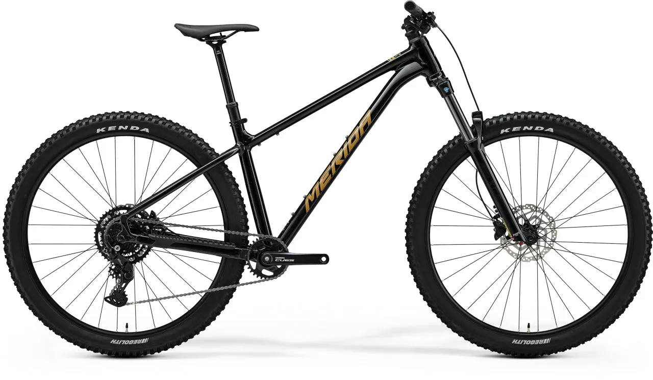 2025 BIG TRAIL 300