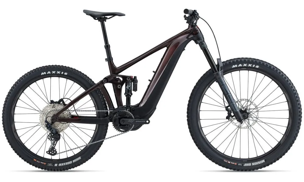 Giant 2023 Reign E  2