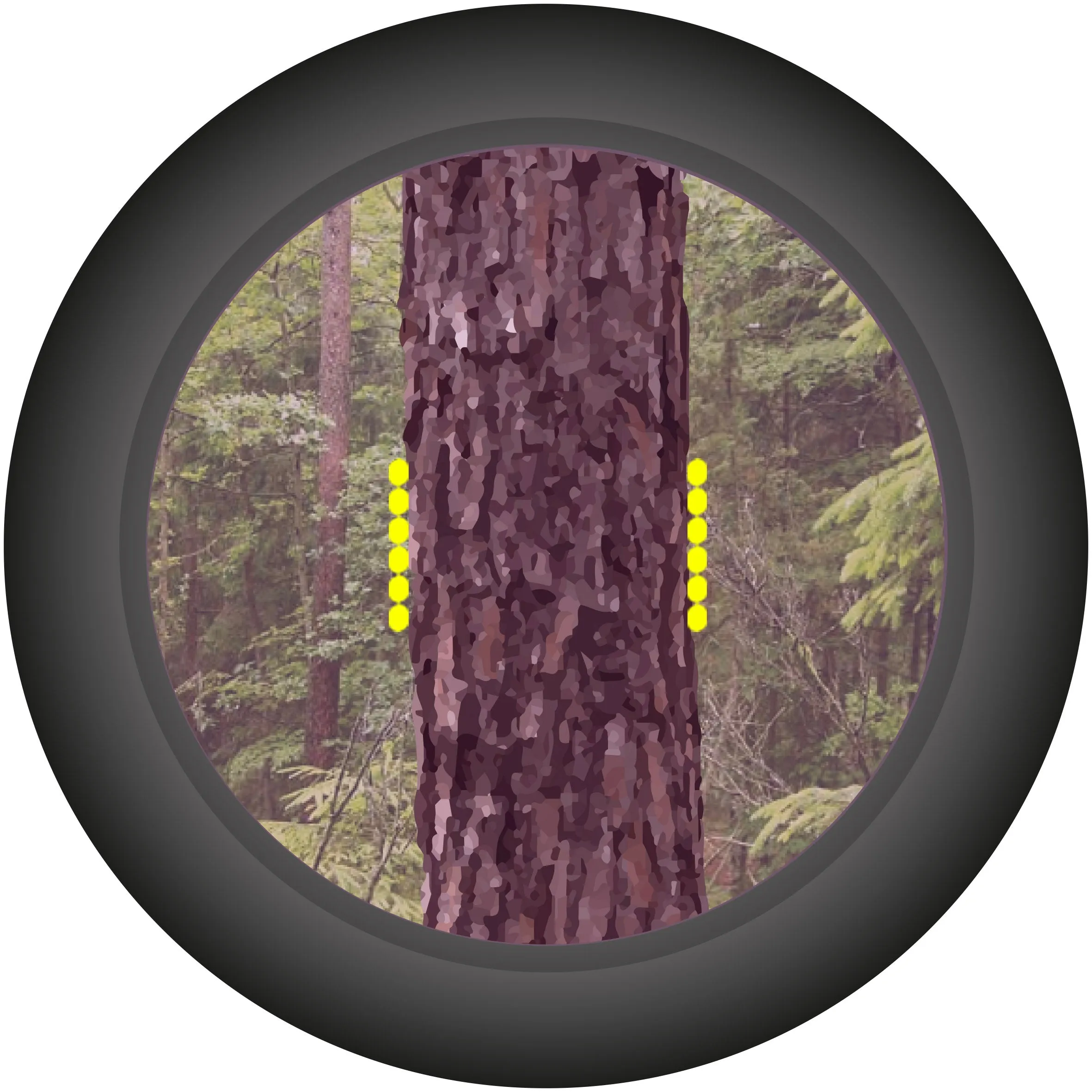 Haglof Laser GEO 2