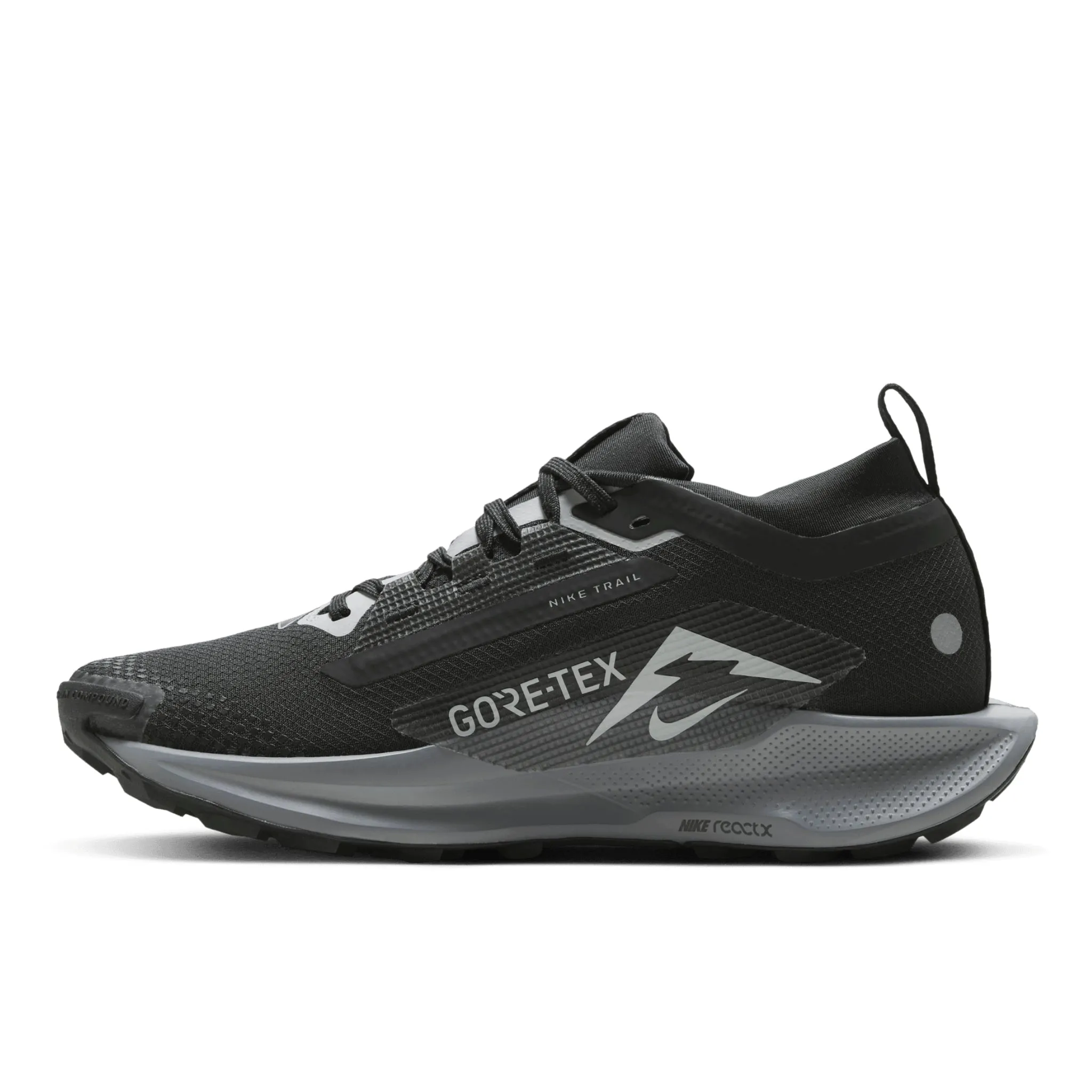 NIKE PEGASUS TRAIL 5 GTX - FEMME
