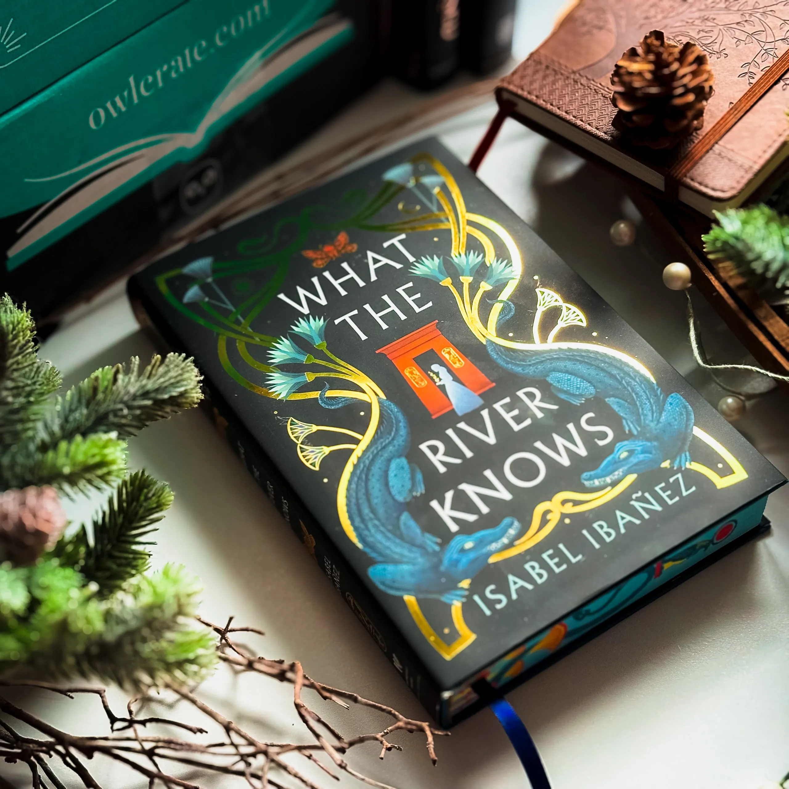 OwlCrate 'PERILOUS TRAVELS' Box