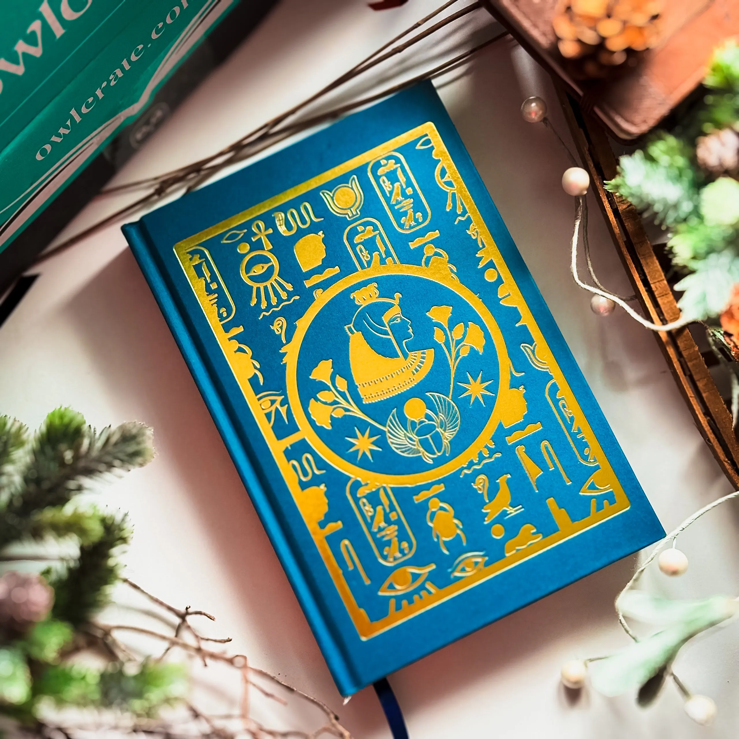 OwlCrate 'PERILOUS TRAVELS' Box