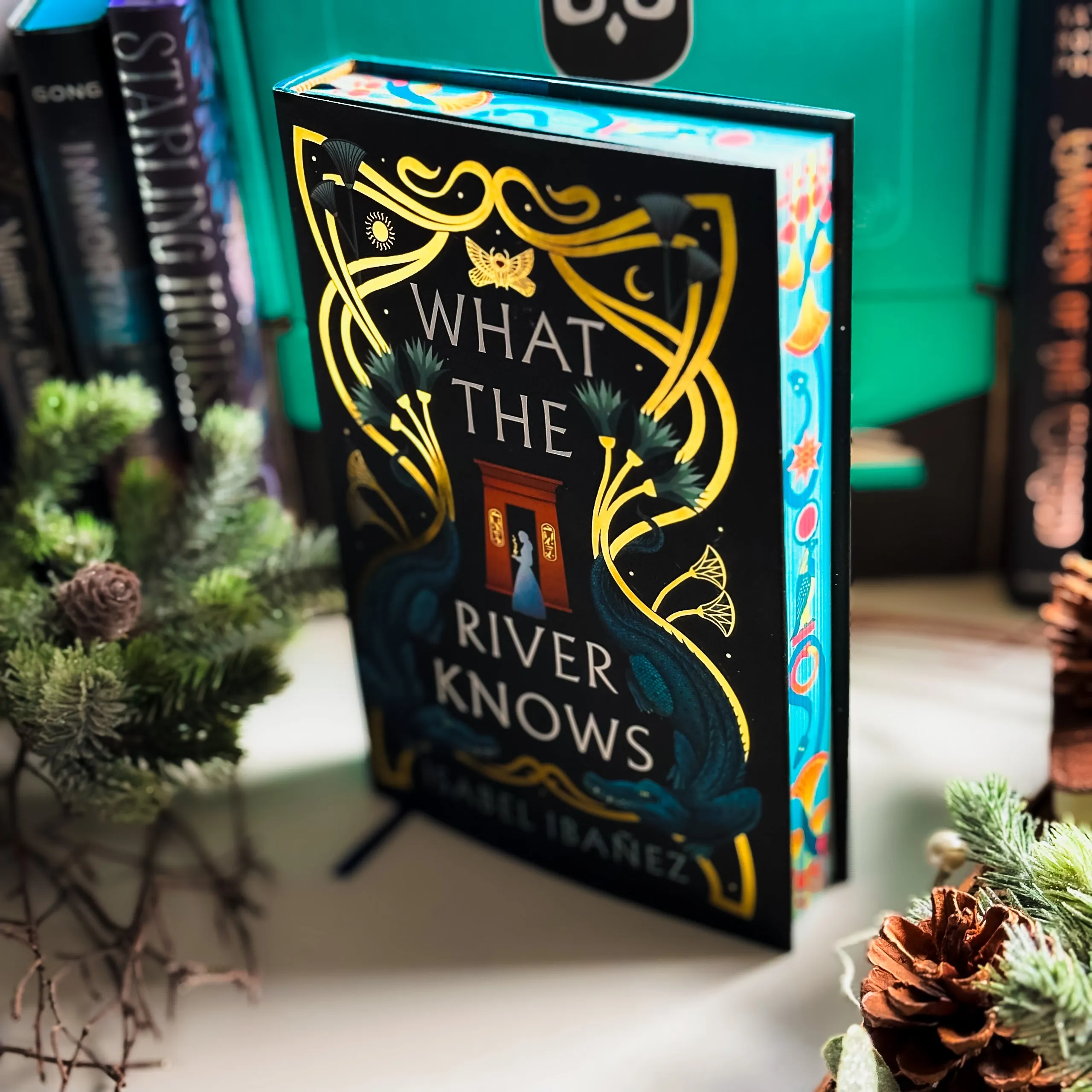 OwlCrate 'PERILOUS TRAVELS' Box