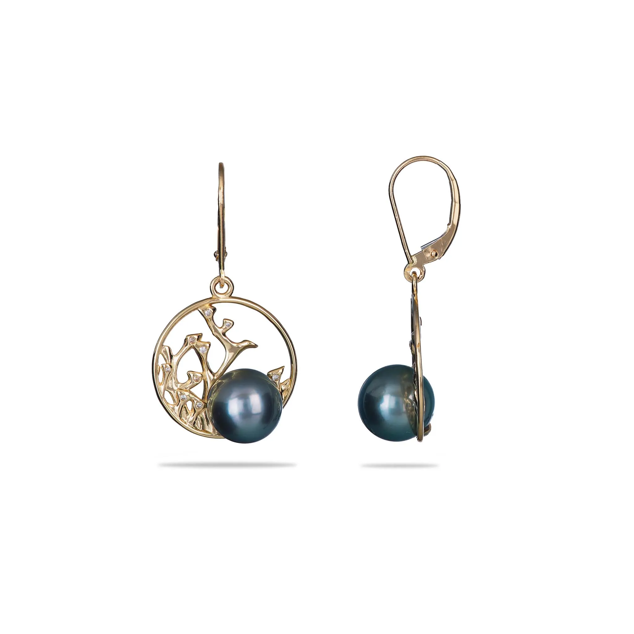 Reefs Tahitian Black Pearl Earrings in Gold with Diamonds - 9-10mm