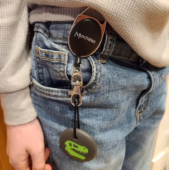 Retractable Lanyards (Set of 2)