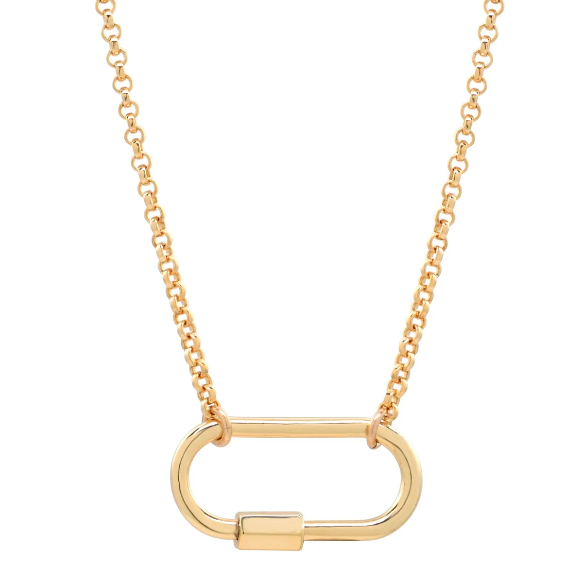 Rolo Chain Carabiner Necklace
