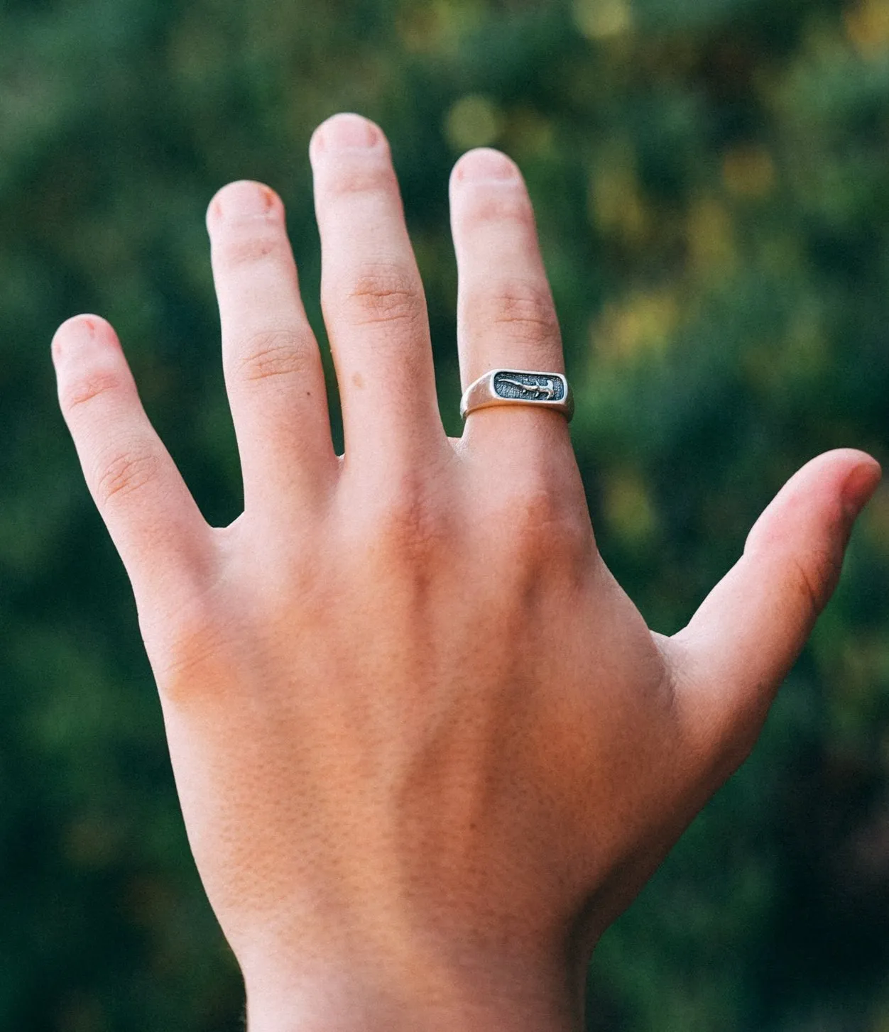 Shark Ring