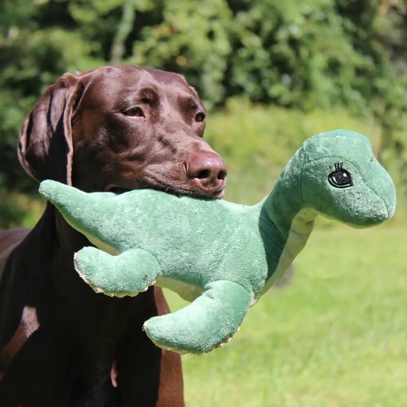 Tall Tails Rope Nessie