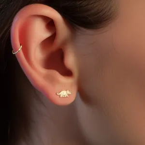 Triceratops Dinosaur Earrings
