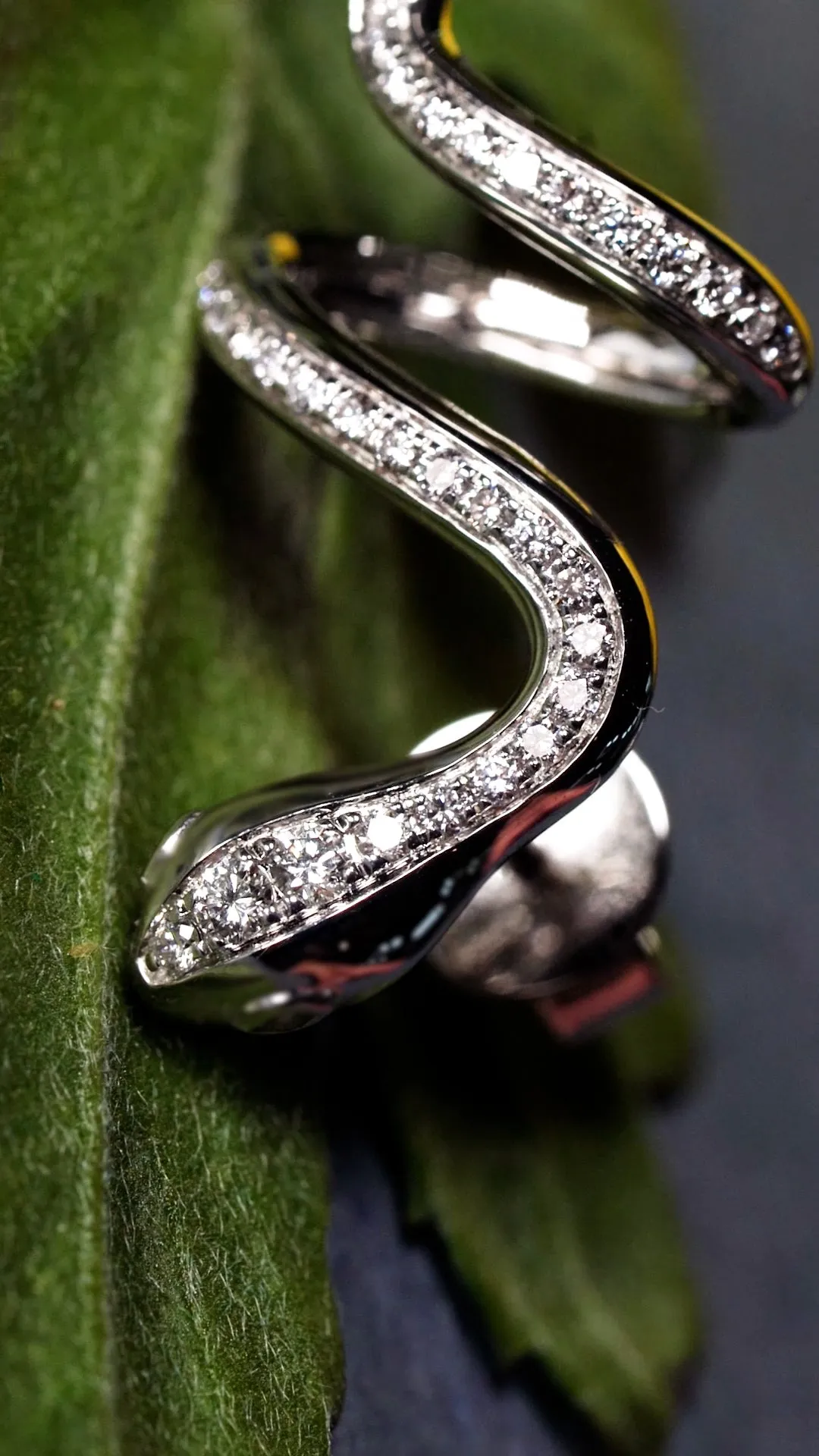 Twined Serpent Earrings